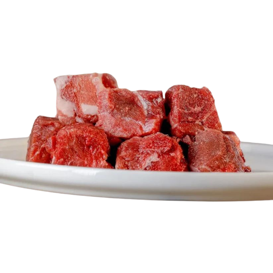 Sechs gefrorene Stücke von Hirschfleisch auf einem weißen Teller, unregelmäßige Form, rot und marmoriert.