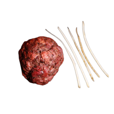 Eine "rohe Fleischkugel" und fünf kleine längliche Stangen Gemüse auf transparentem Hintergrund.