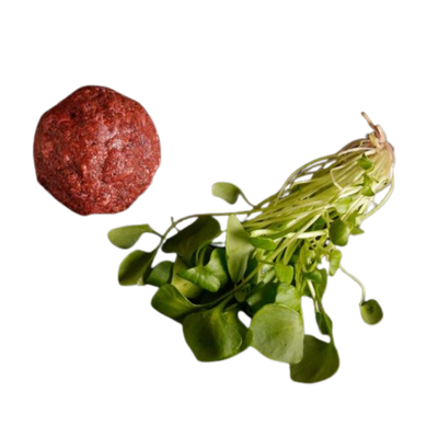 Eine "rohe Fleischkugel" neben einem Bund frischer, grüner Kresse mit sichtbaren Wurzeln.