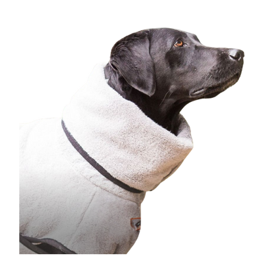 actionfactory Dryup Cape Royal Silver