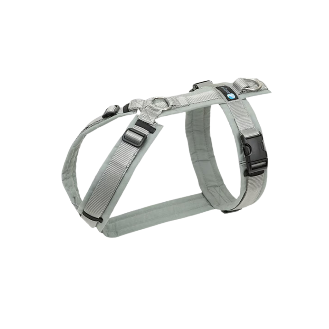 Anny-X Brustgeschirr Fun grau/silber