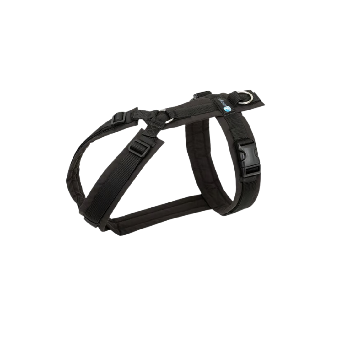 Anny-X Brustgeschirr Fun schwarz/schwarz