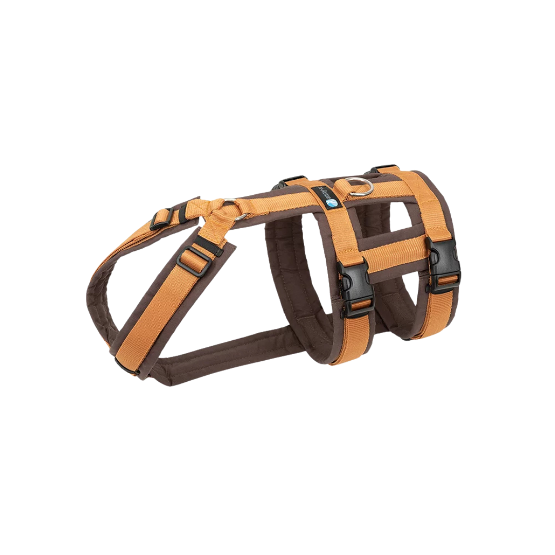 Anny-X Brustgeschirr Safety Fun braun/bernstein