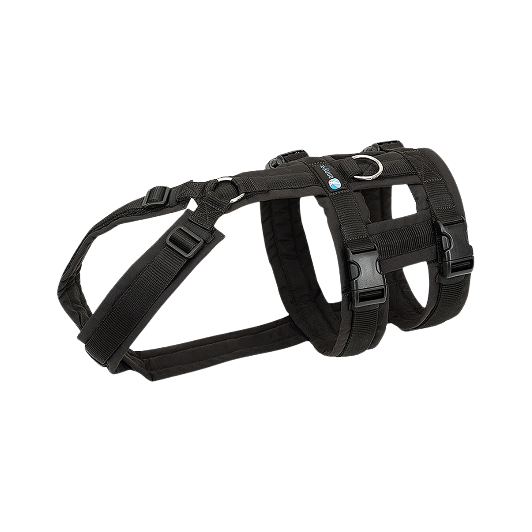 Anny-X Brustgeschirr Safety Fun schwarz/schwarz