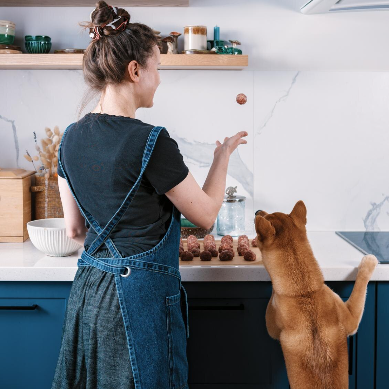 BARF-Beratung Hund inkl. BARF-Plan
