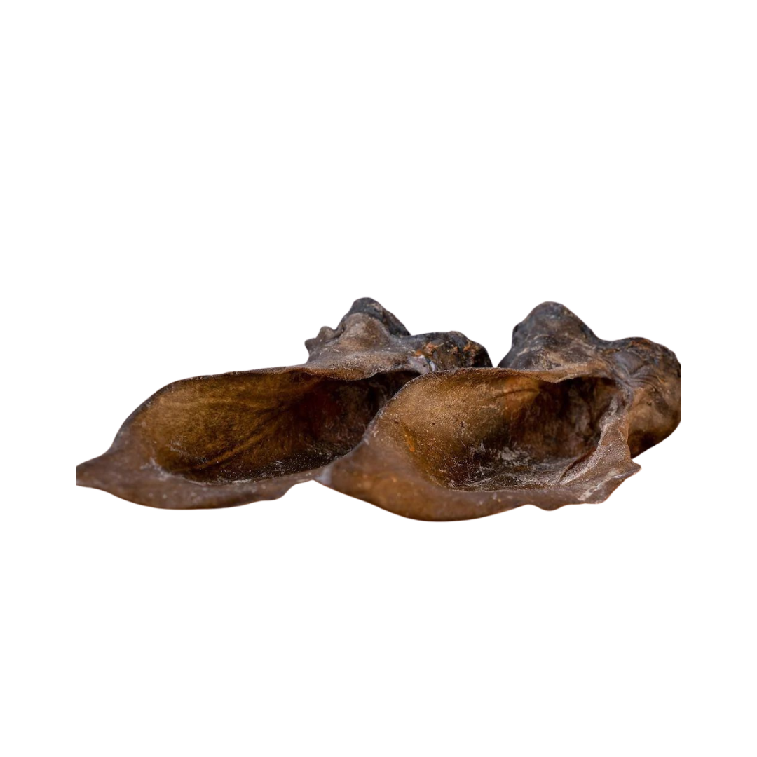 Zwei braune Hirschohren, unregelmäßig geformt, mit einer glatten Oberfläche und sichtbaren Details der Struktur.