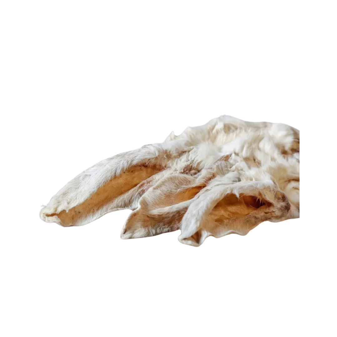 Kaninchenohren mit Fell in einer natürlichen Form, leicht gebogen, auf einem weißen Hintergrund. Verpackungsgröße: 100g. Marke: Barfgold.