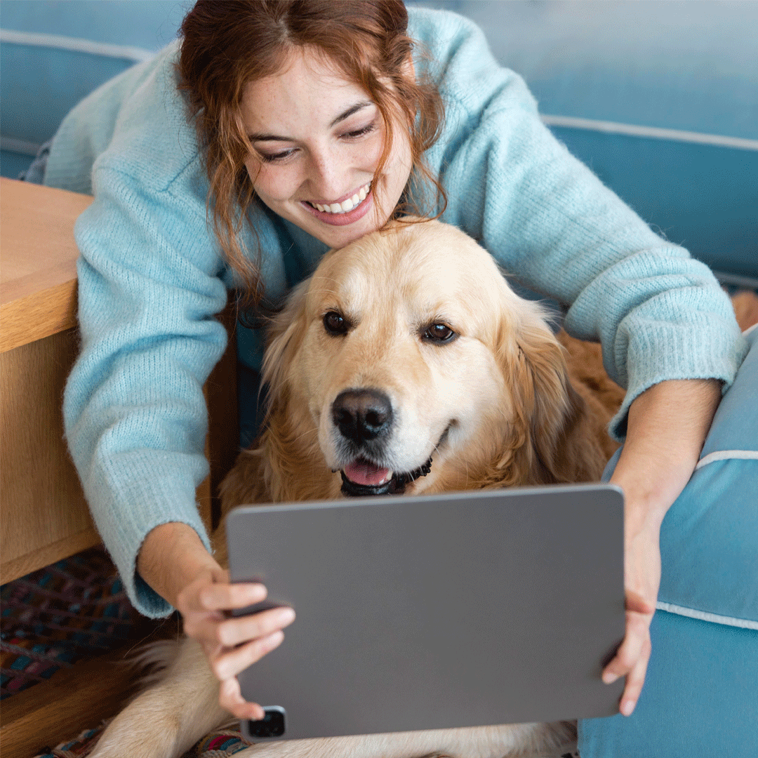 Beratungsgespräch Hund