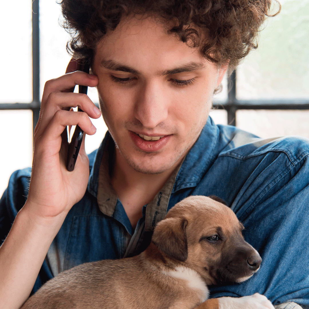 Verlaufskontrolle Hund