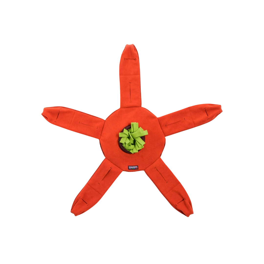 Runde Futterbox in Form eines Sterns mit fünf roten Zacken und einer grünen Füllung in der Mitte. Die Zacken sind mit Taschen zum Verstecken von Futter ausgestattet.