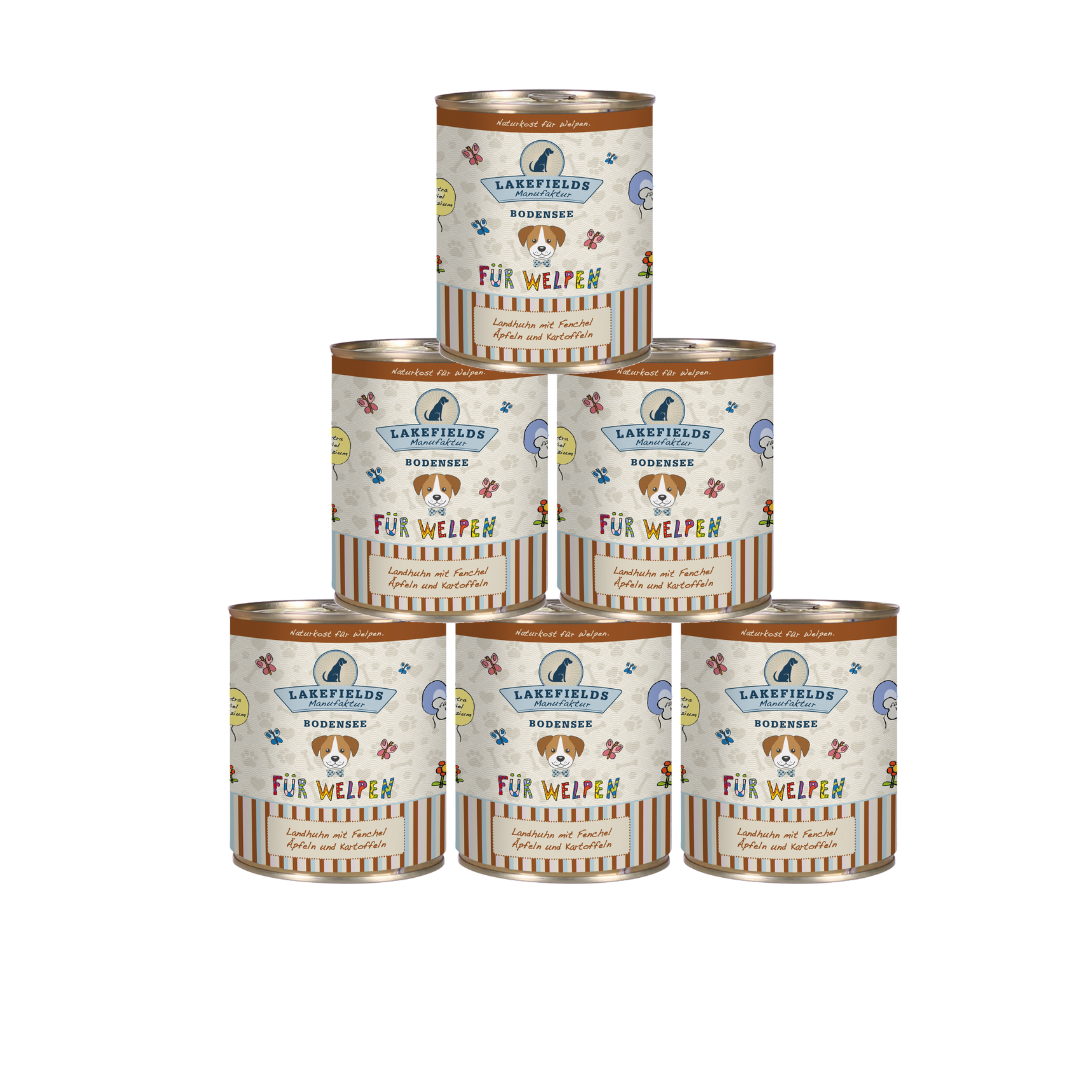 Sechs runde Dosen mit Hundefutter von Lakefields, 800g. Auf dem Etikett steht 'BODENSEE FÜR WELPEN', mit Abbildungen von Hunden, Blumen und Texten.