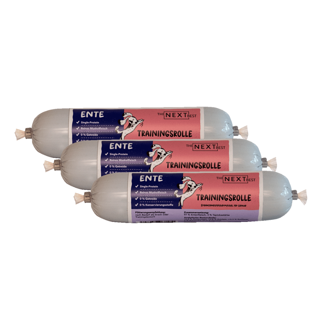 NEXT Trainingsrolle Ente