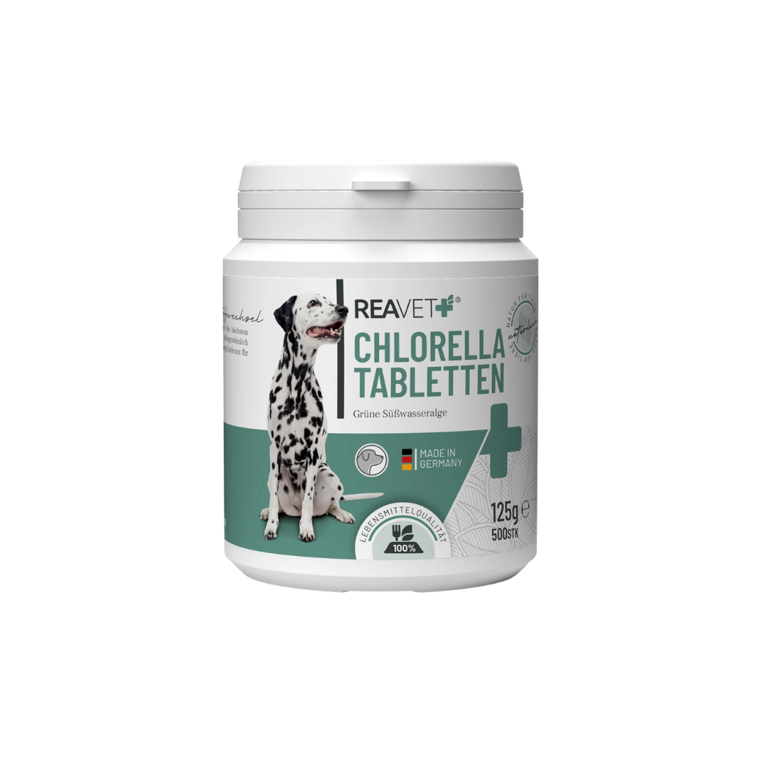 Weißer Behälter mit grünem Etikett, darauf ein Dalmatiner und der Text 'REAVET Chlorella Tabletten, Grüne Süßwasseralge, Made in Germany, 125 g, 500 Stk'.