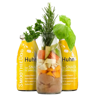 Zwei Flaschen SmoothieDog Trinkpause mit Huhn, Obst und Gemüse, davor Glasflasche mit geschnittenem Obst, Gemüse, Mango und Rosmarinzweig.
