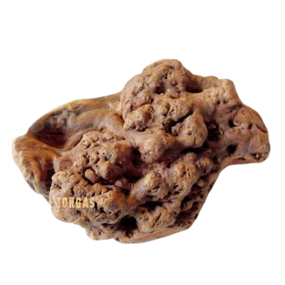 Unregelmäßig geformtes, knorrige Wurzel mit rauer Oberfläche und der Aufschrift 'TORGAS' in gelber Schrift.