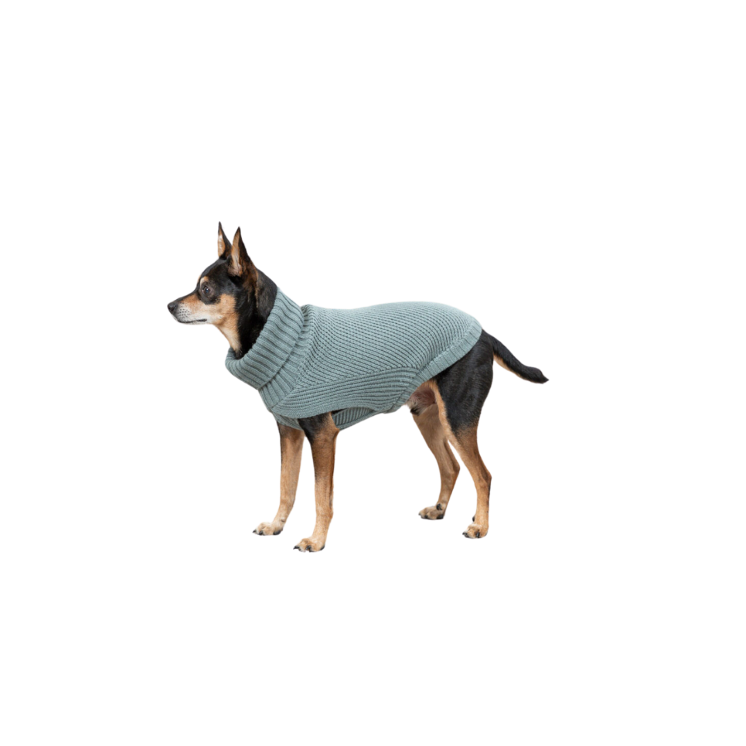 CityStyle Strickpullover Salbei