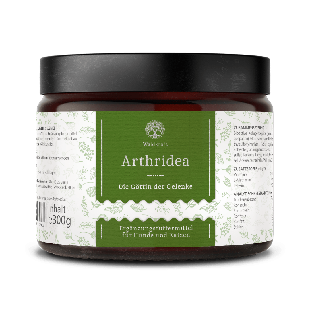 Braunes Glasgefäß mit schwarzem Deckel, grünem Etikett und weißer Schrift, zeigt Produktname 'Arthridea' von Waldkraft, Ergänzungsfuttermittel für Hunde und Katzen, 300 g.