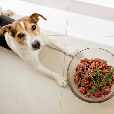 Die Fertig-BARF-Falle: Warum „Komplettmenüs“ oft nicht komplett sind