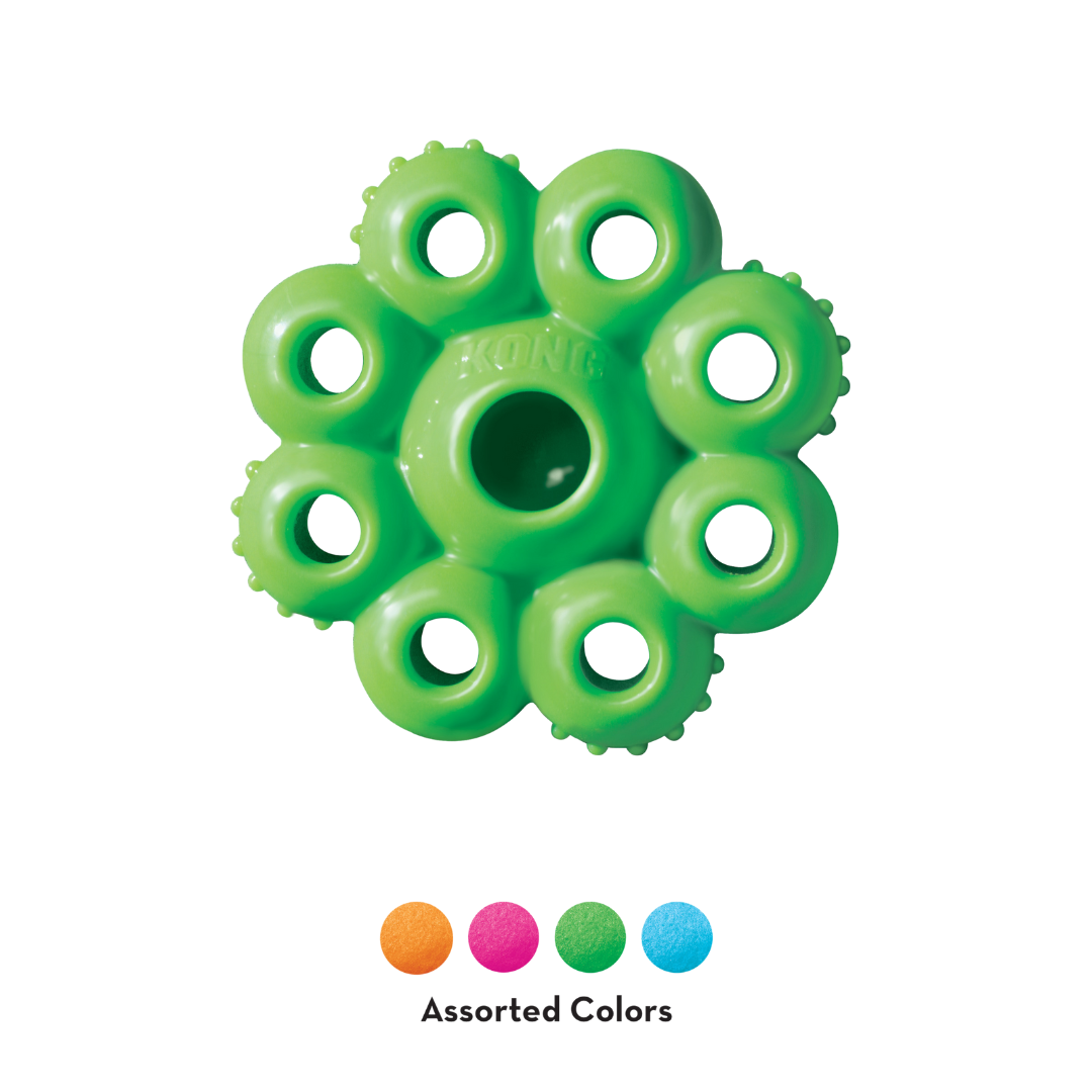 Grünes KONG Quest Star Pod Spielzeug mit acht Öffnungen und einer zentralen Öffnung. Sichtbare Farben: Orange, Pink, Grün und Blau.