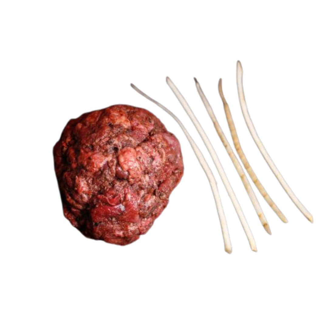 Eine "rohe Fleischkugel" und fünf kleine längliche Stangen Gemüse auf transparentem Hintergrund.