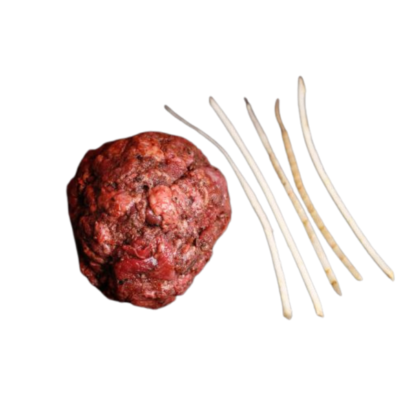 Eine "rohe Fleischkugel" und fünf kleine längliche Stangen Gemüse auf transparentem Hintergrund.