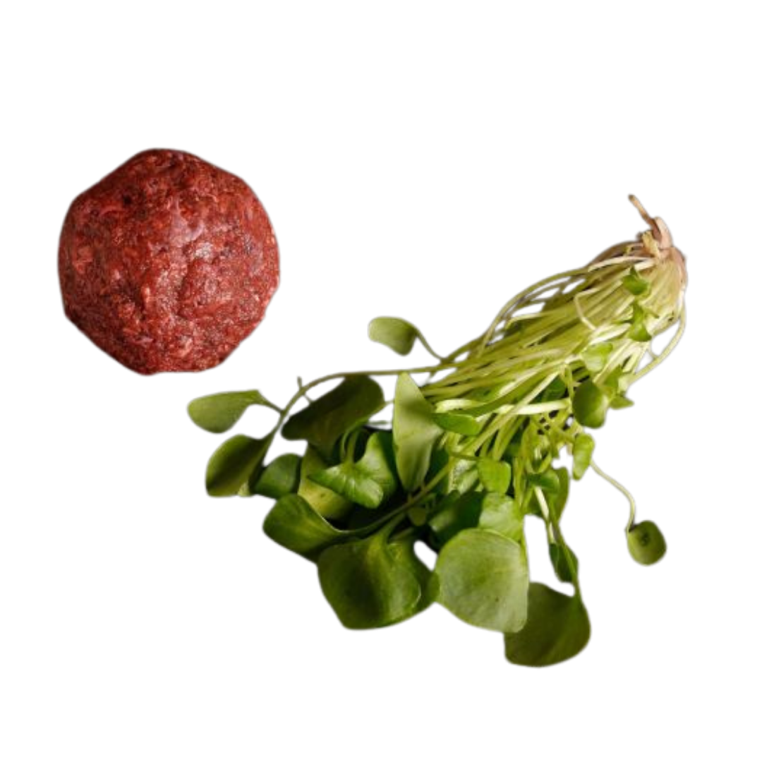 Eine "rohe Fleischkugel" neben einem Bund frischer, grüner Kresse mit sichtbaren Wurzeln.