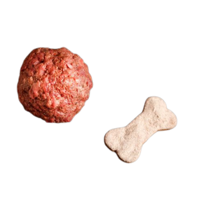 Eine "rohe Fleischkugel" neben einem kleinen weißen Hundeknochen auf transparentem Hintergrund.