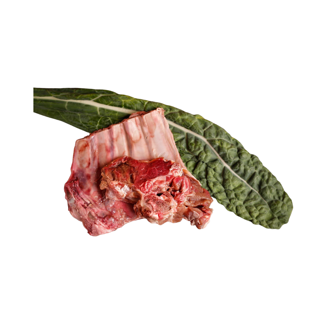 Rippenstück mit Fleisch und Knochen auf einem großen Blatt Grünkohl
