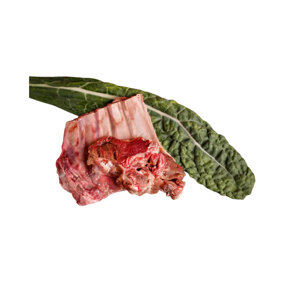 Rippenstück mit Fleisch und Knochen auf einem großen Blatt Grünkohl
