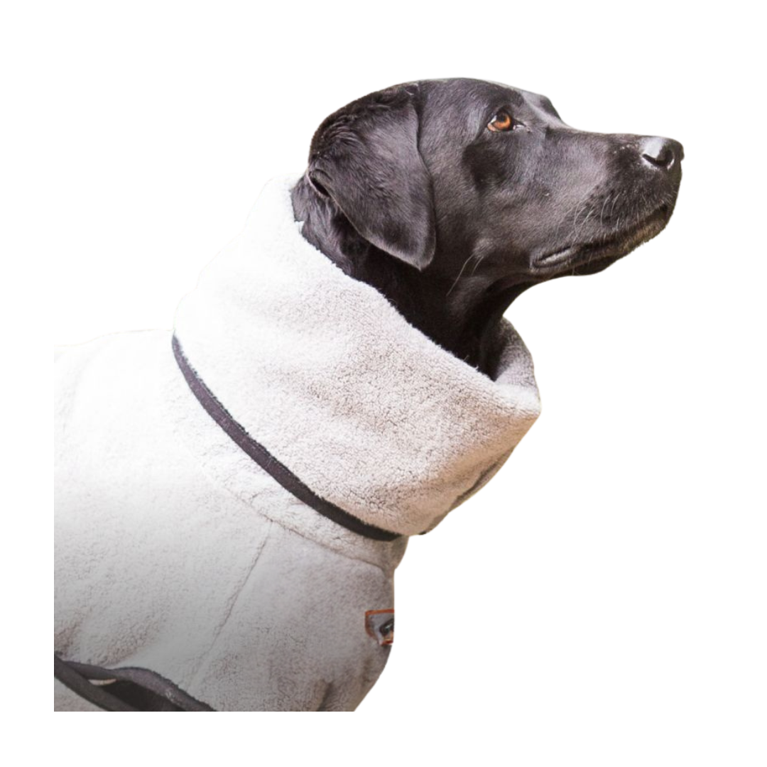 actionfactory Dryup Cape Royal Silver