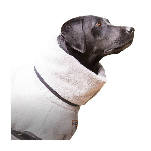 actionfactory Dryup Cape Royal Silver