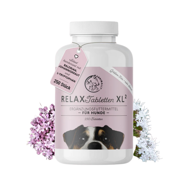 Runde, weiße Flasche mit Schraubverschluss, etikettiert mit 'RELAX Tabletten XL', enthält 250 Kapseln für Hunde. Abgebildet ist ein Hundekopf auf dem Etikett.