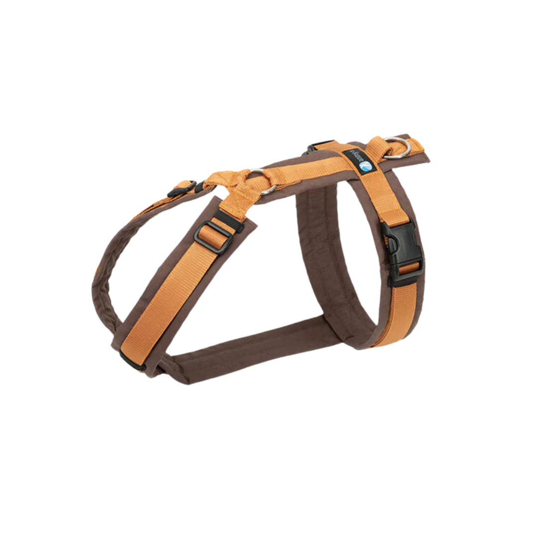 Anny-X Brustgeschirr Fun braun/bernstein