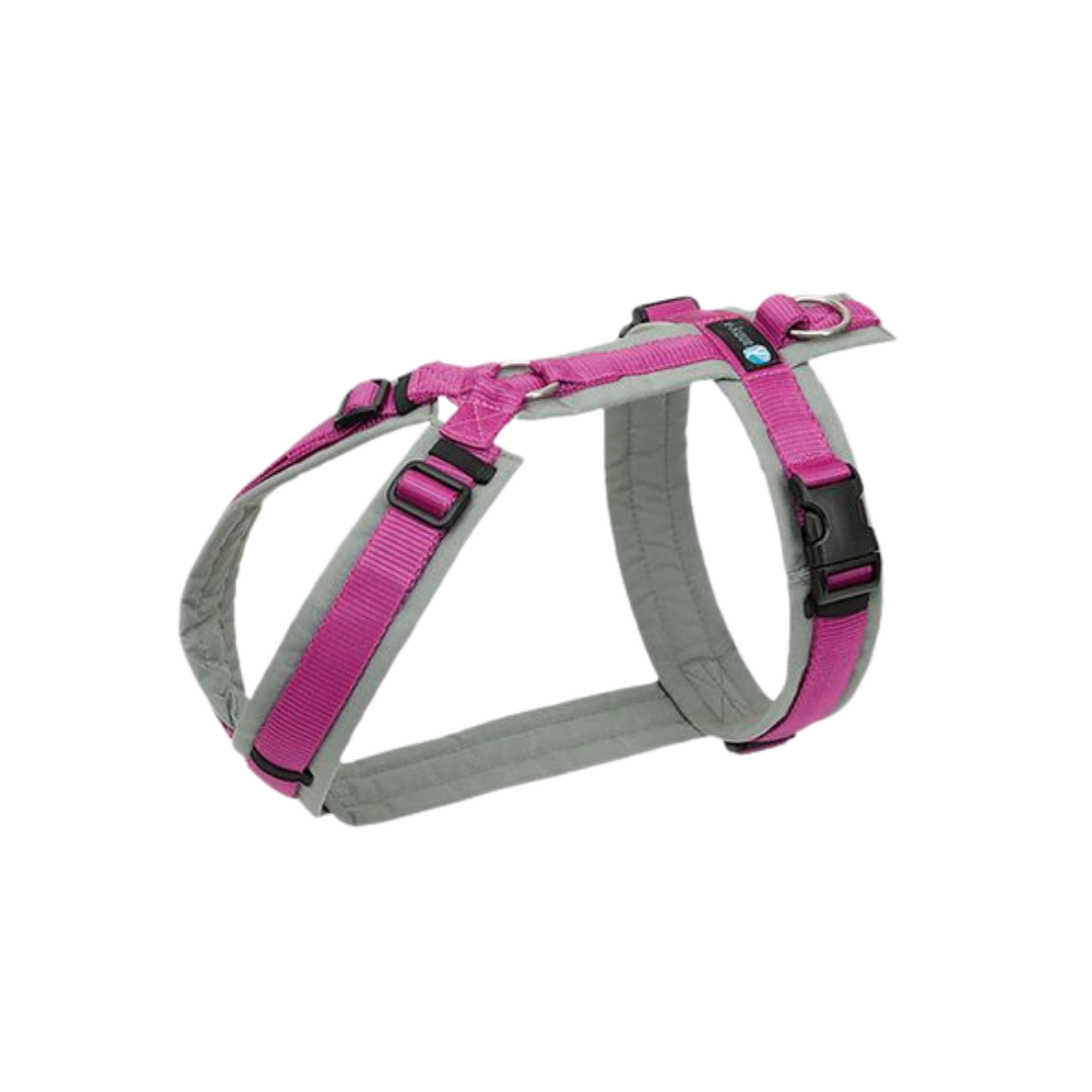 Anny-X Brustgeschirr Fun grau/pink