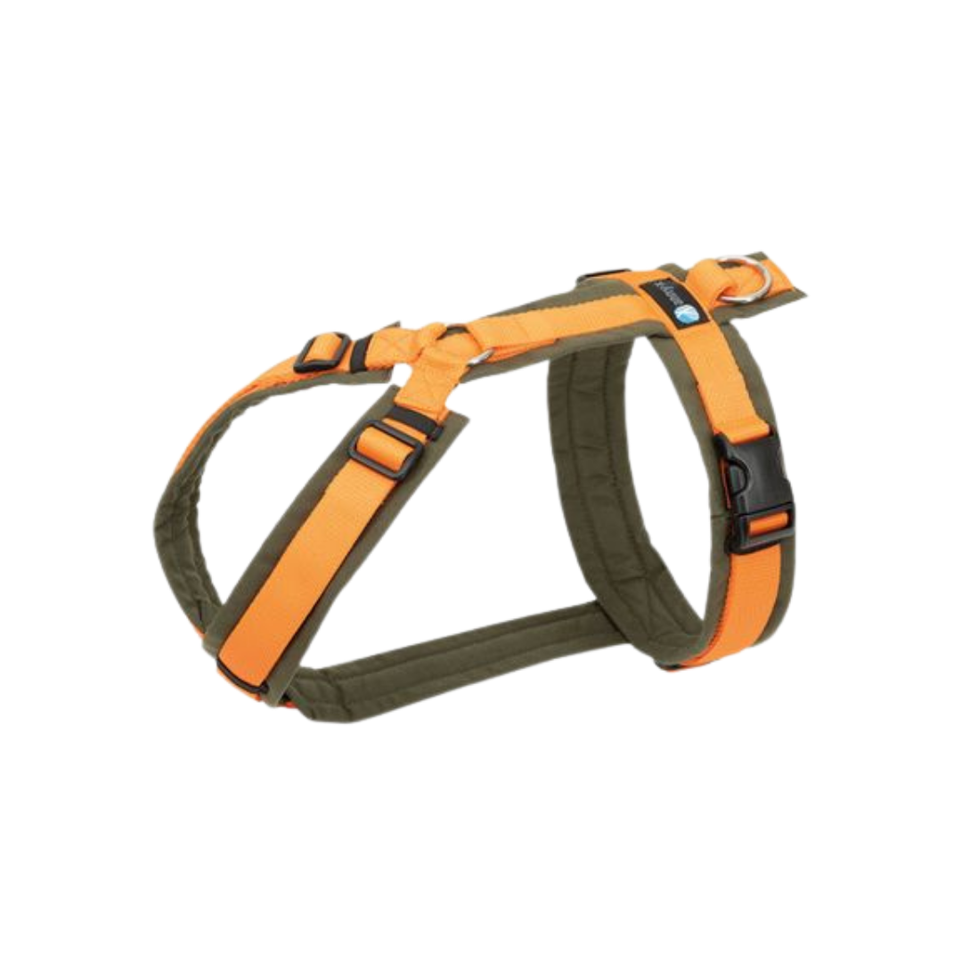 Anny-X Brustgeschirr Fun oliv/orange