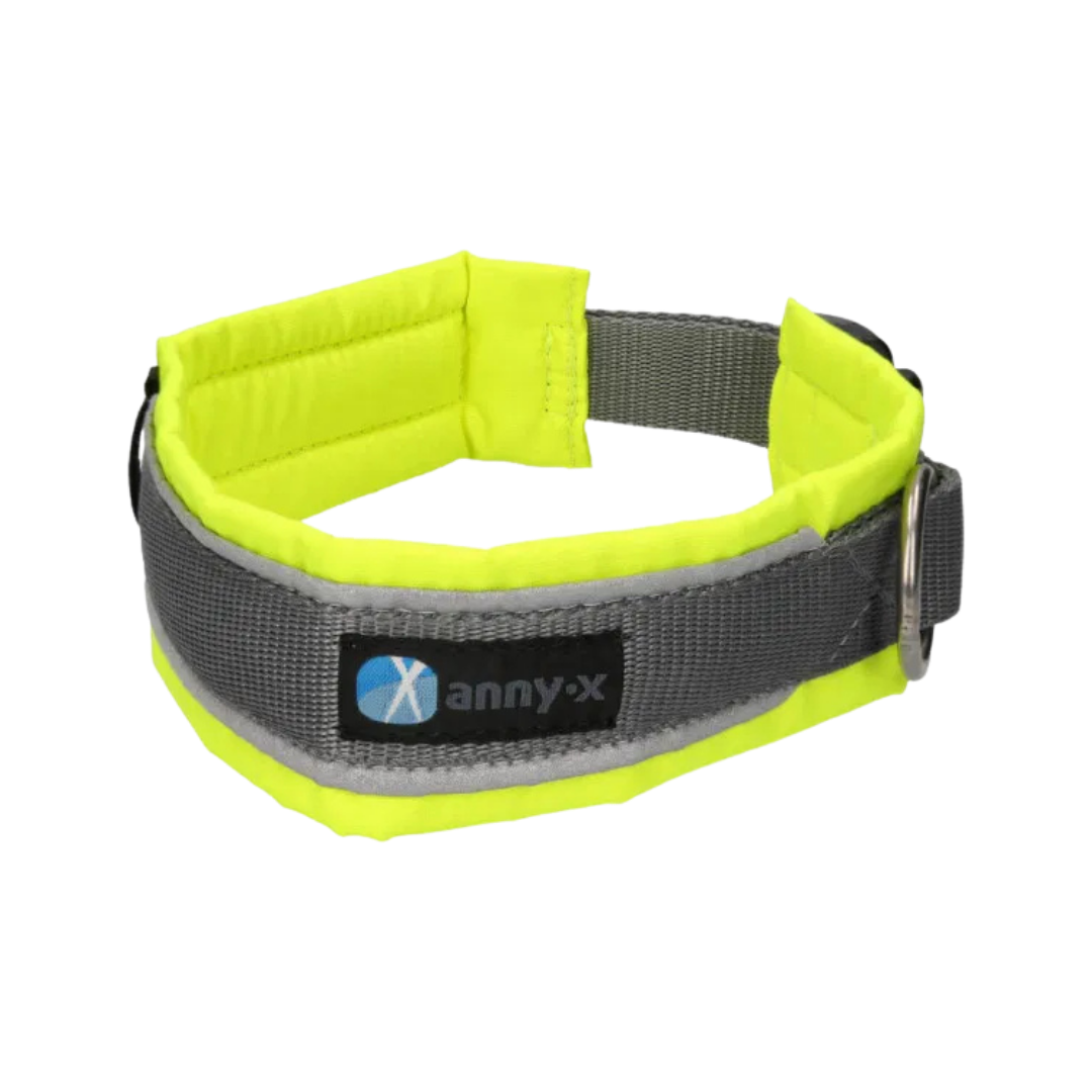 Anny-X Steckhalsband Protect leuchtgelb/grau