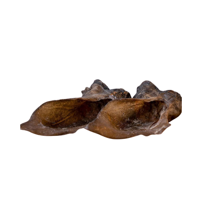 Zwei braune Hirschohren, unregelmäßig geformt, mit einer glatten Oberfläche und sichtbaren Details der Struktur.