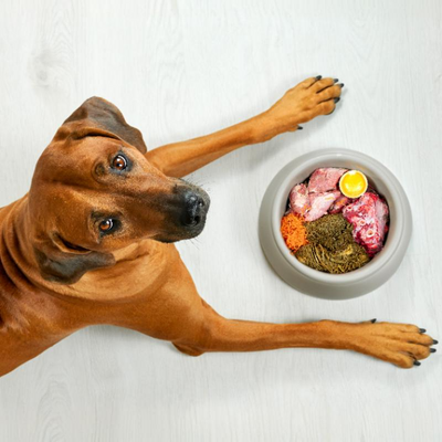 BARF-Plan Hund (ohne Beratung)