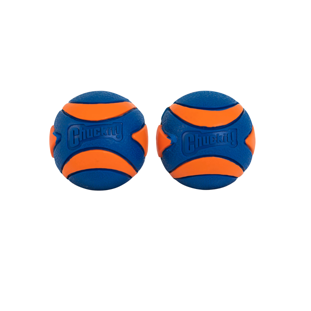 Chuckit Ultra Squeaker Ball 2er Pack