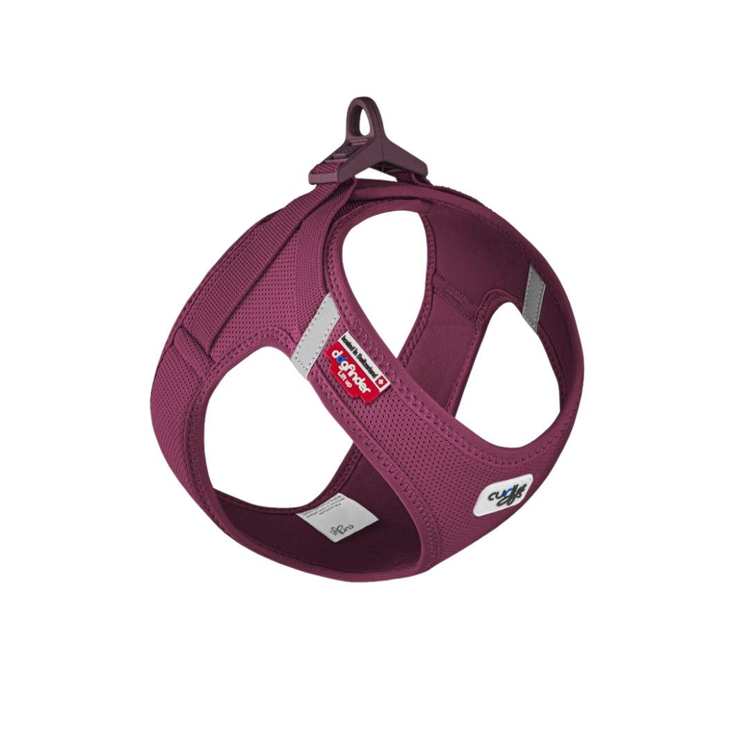 Curli Clasp Vest Geschirr Air-Mesh Bordeaux