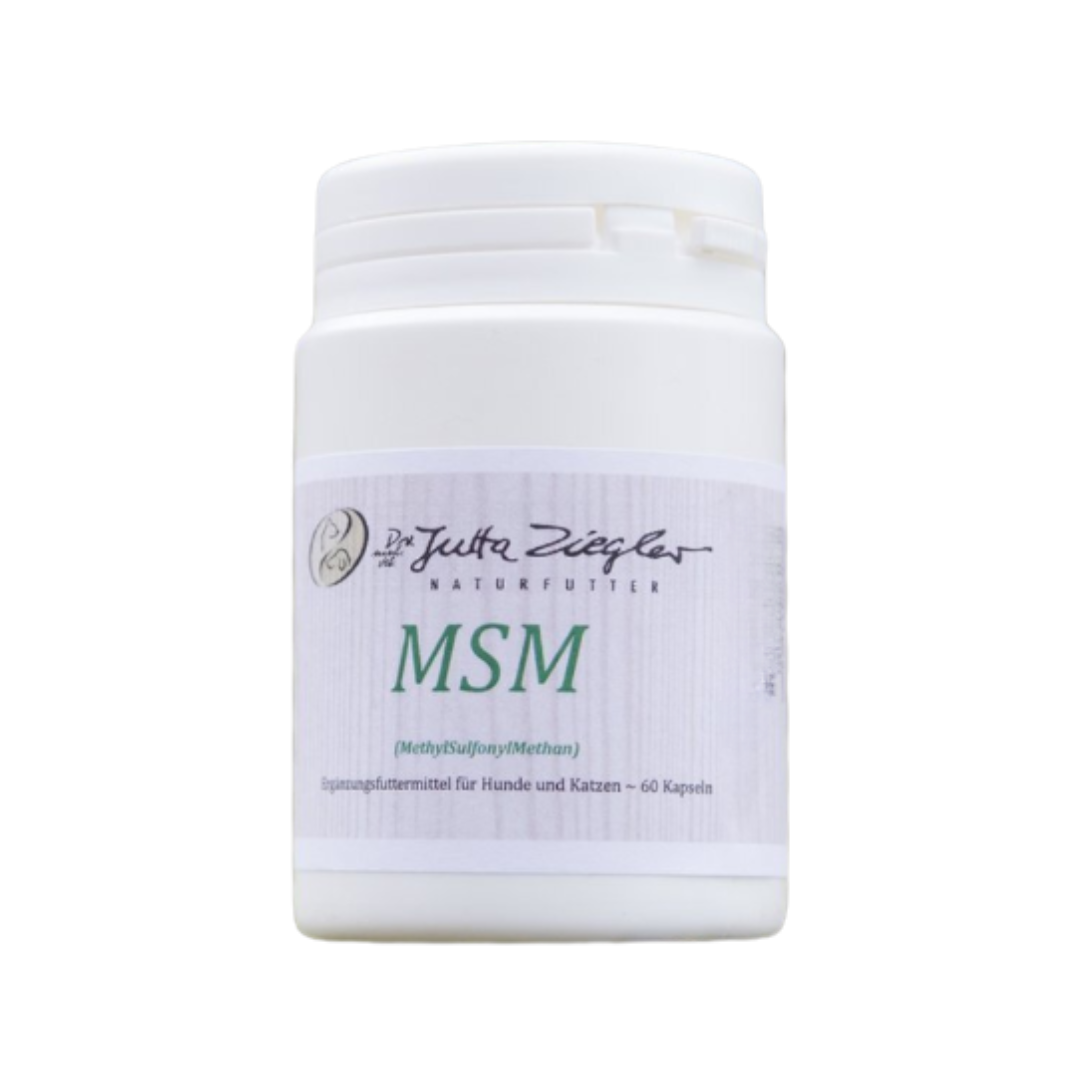 Weißer Kunststoffbehälter mit Schraubverschluss, Aufkleber mit grünem Schriftzug 'MSM' und Text zu Nahrungsergänzungsmitteln für Hunde und Katzen.