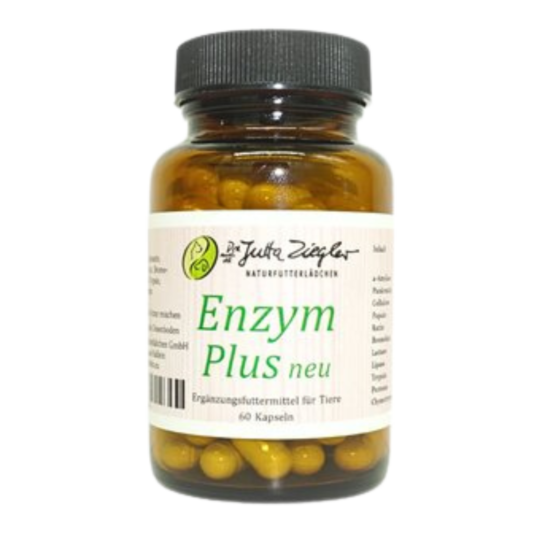 Braune Glasflasche mit schwarzem Deckel, beschriftet mit 'Enzym Plus neu', enthält 60 Kapseln. Aufkleber zeigt Logo und Informationen zu Ergänzungsfuttermittel für Tiere.