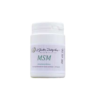 Weißer Behälter mit Schraubverschluss, beschriftet mit 'MSM (Methylsulfonylmethan)', enthält 60 Kapseln, für Hunde und Katzen, von Dr. Jutta Ziegler.