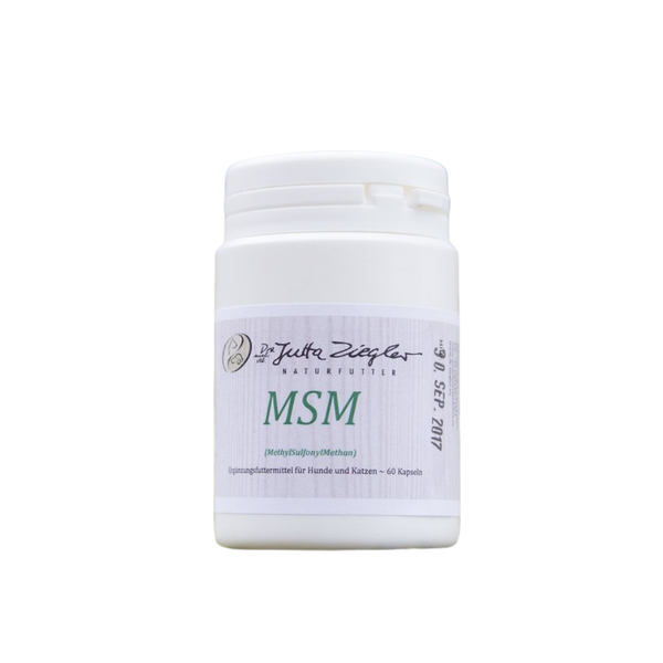 Weißer Behälter mit Schraubverschluss, beschriftet mit 'MSM (Methylsulfonylmethan)', enthält 60 Kapseln, für Hunde und Katzen, von Dr. Jutta Ziegler.