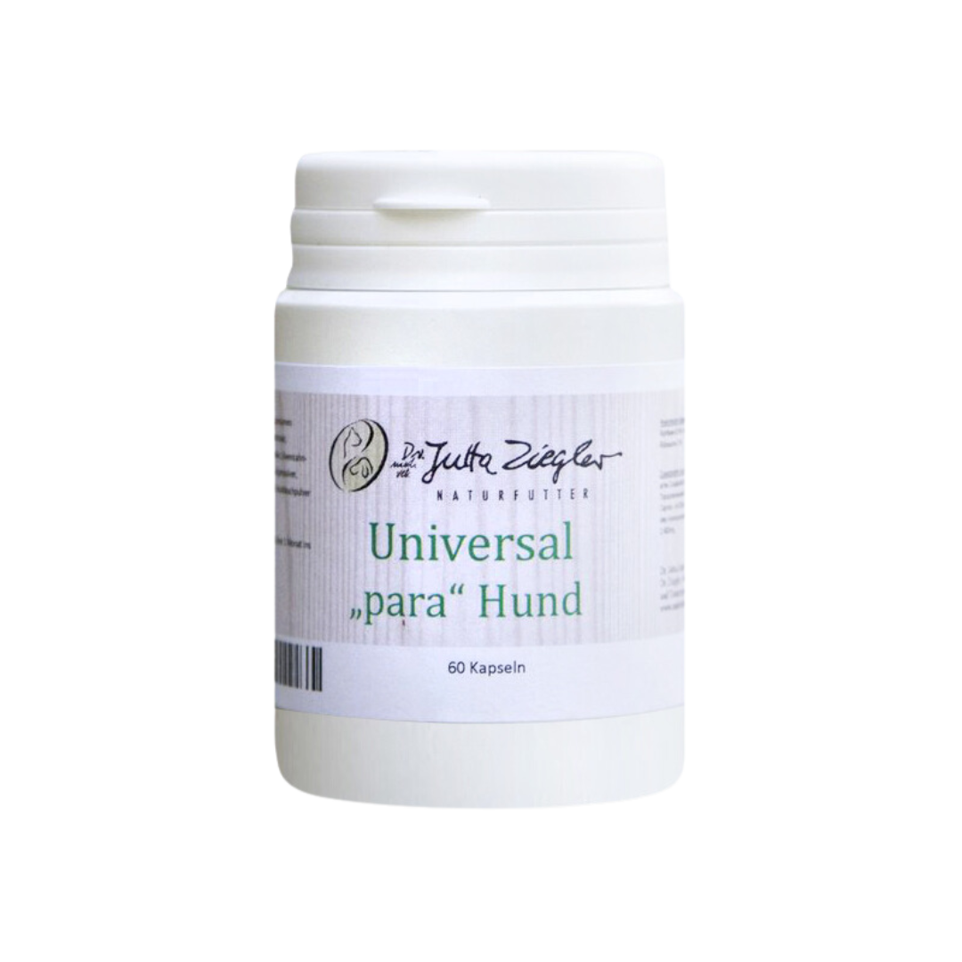 Weißer Kunststoffbehälter mit Schraubverschluss, beschriftet mit 'Universal "para" Hund' und '60 Kapseln'.