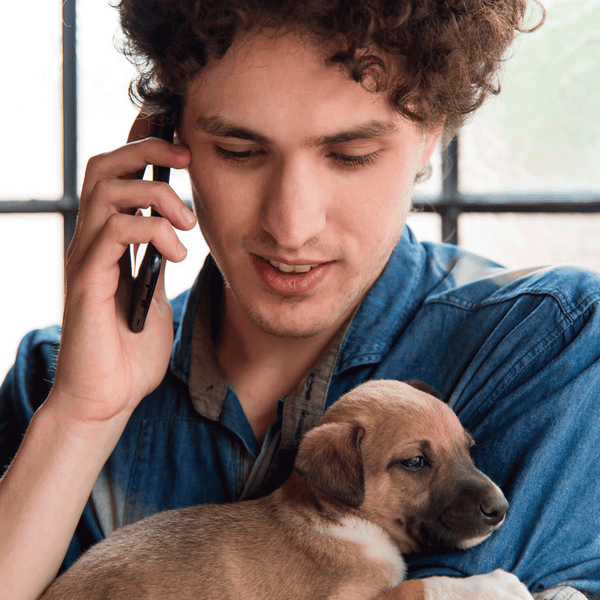 Verlaufskontrolle Hund