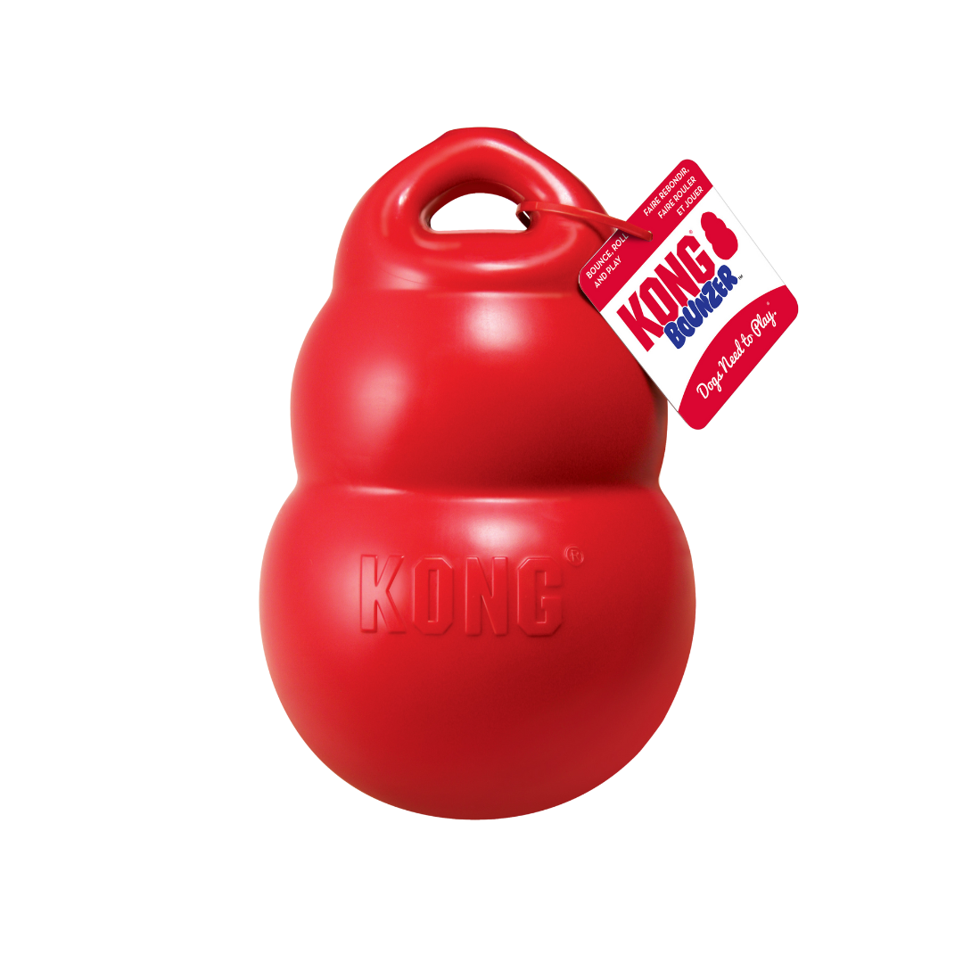 Kong Bounzer