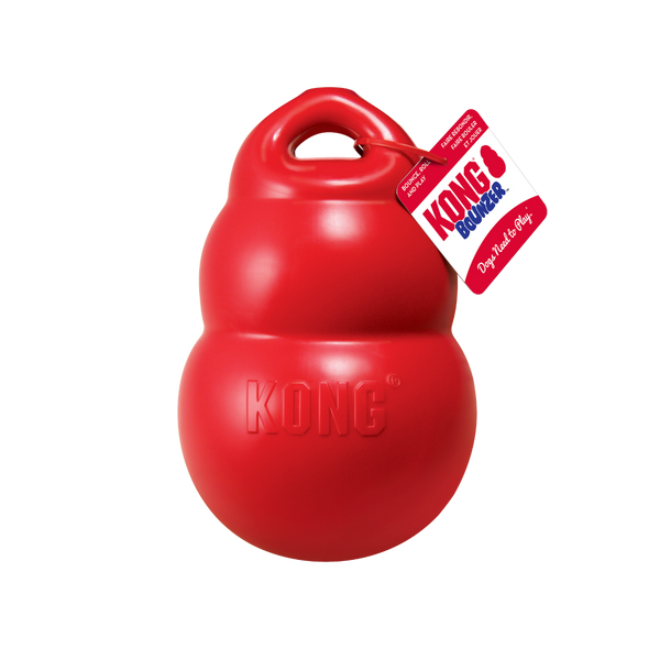 Kong Bounzer