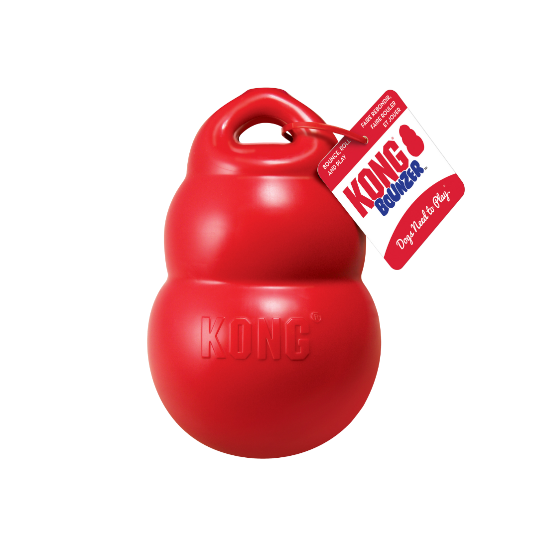 Kong Bounzer