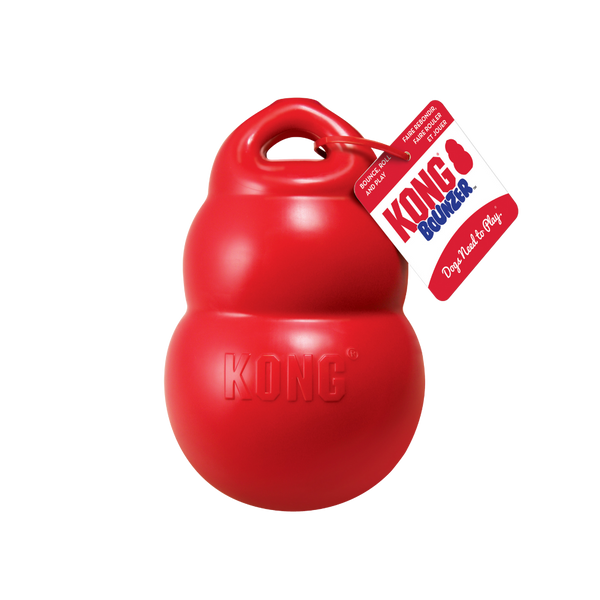Kong Bounzer